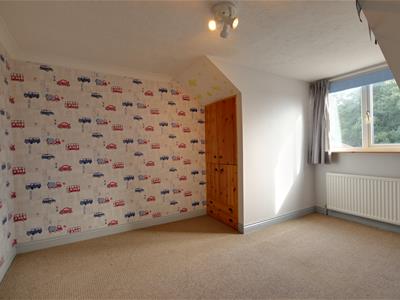 Picture 15